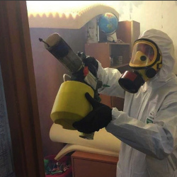 Уничтожение клопов в квартире. Мезень